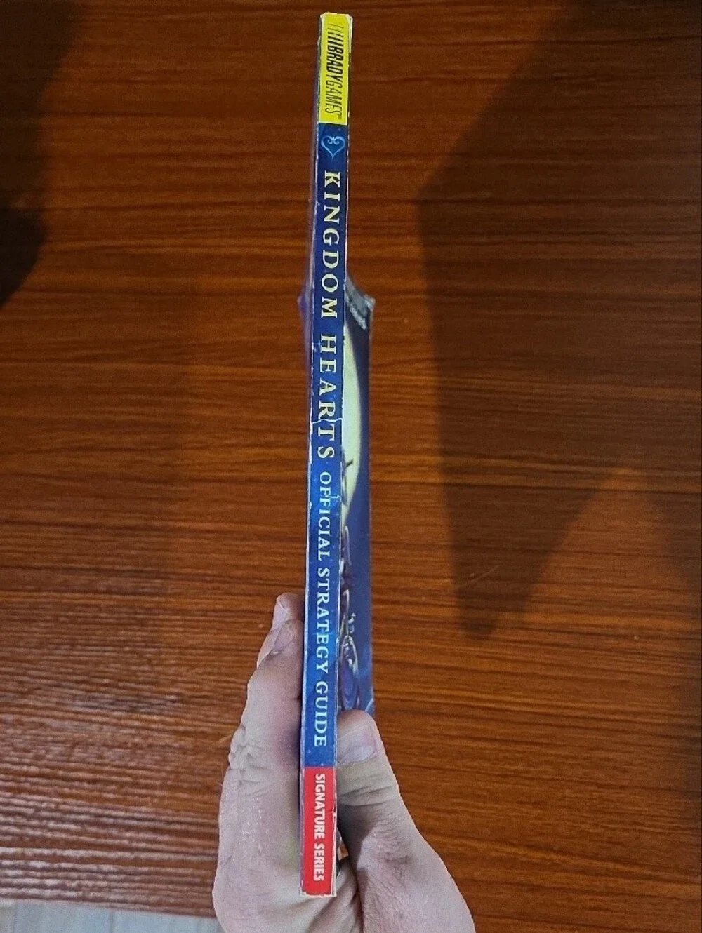Kingdom Hearts Official Strategy Guide - Blue